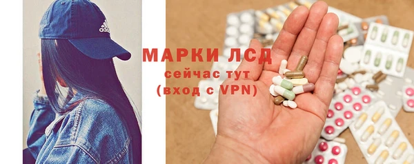 PSILOCYBIN Магас