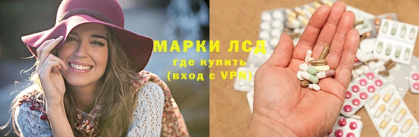 гашик Дмитриев