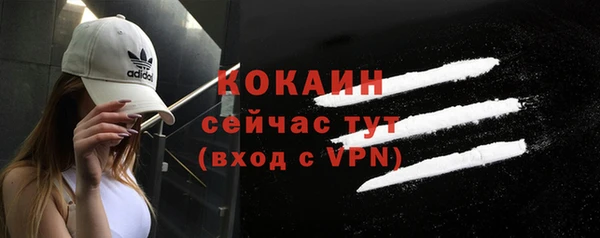 молекула духа Дмитров