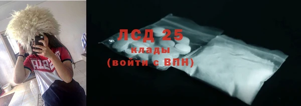 PSILOCYBIN Магас