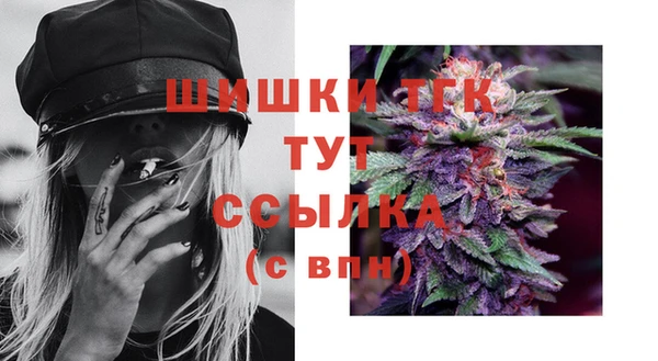 гашик Дмитриев