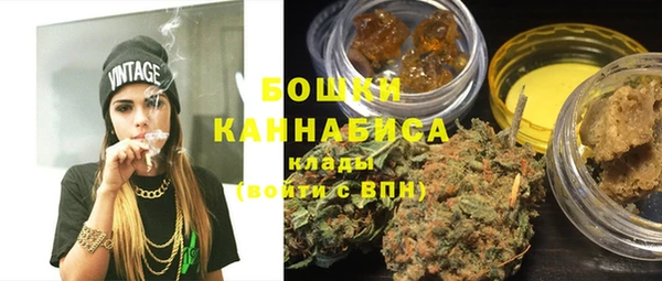 молекула духа Дмитров