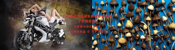 бутират Дмитровск